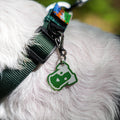 Ultralight Anodized Aluminum Pet ID Tag