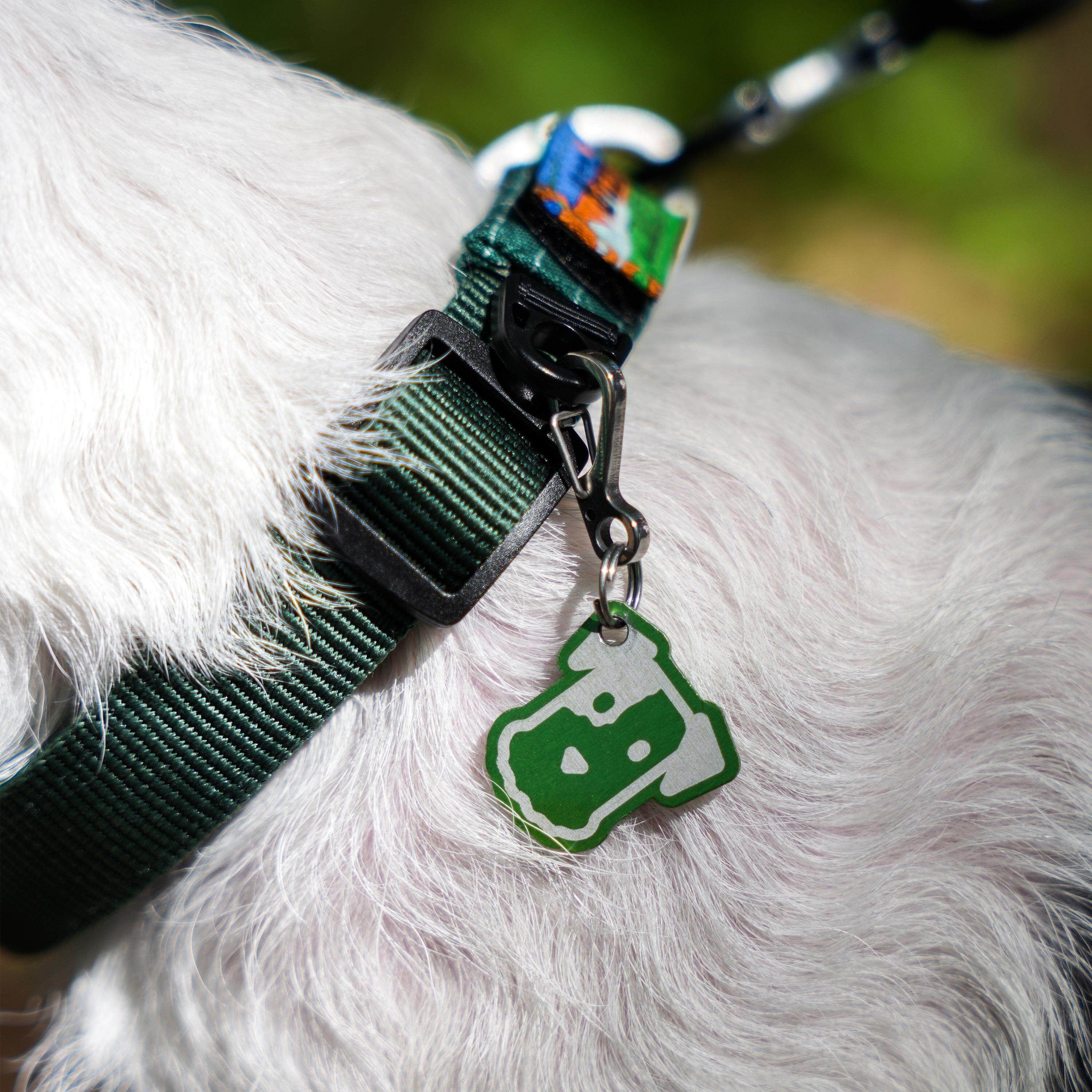 Ultralight Anodized Aluminum Pet ID Tag