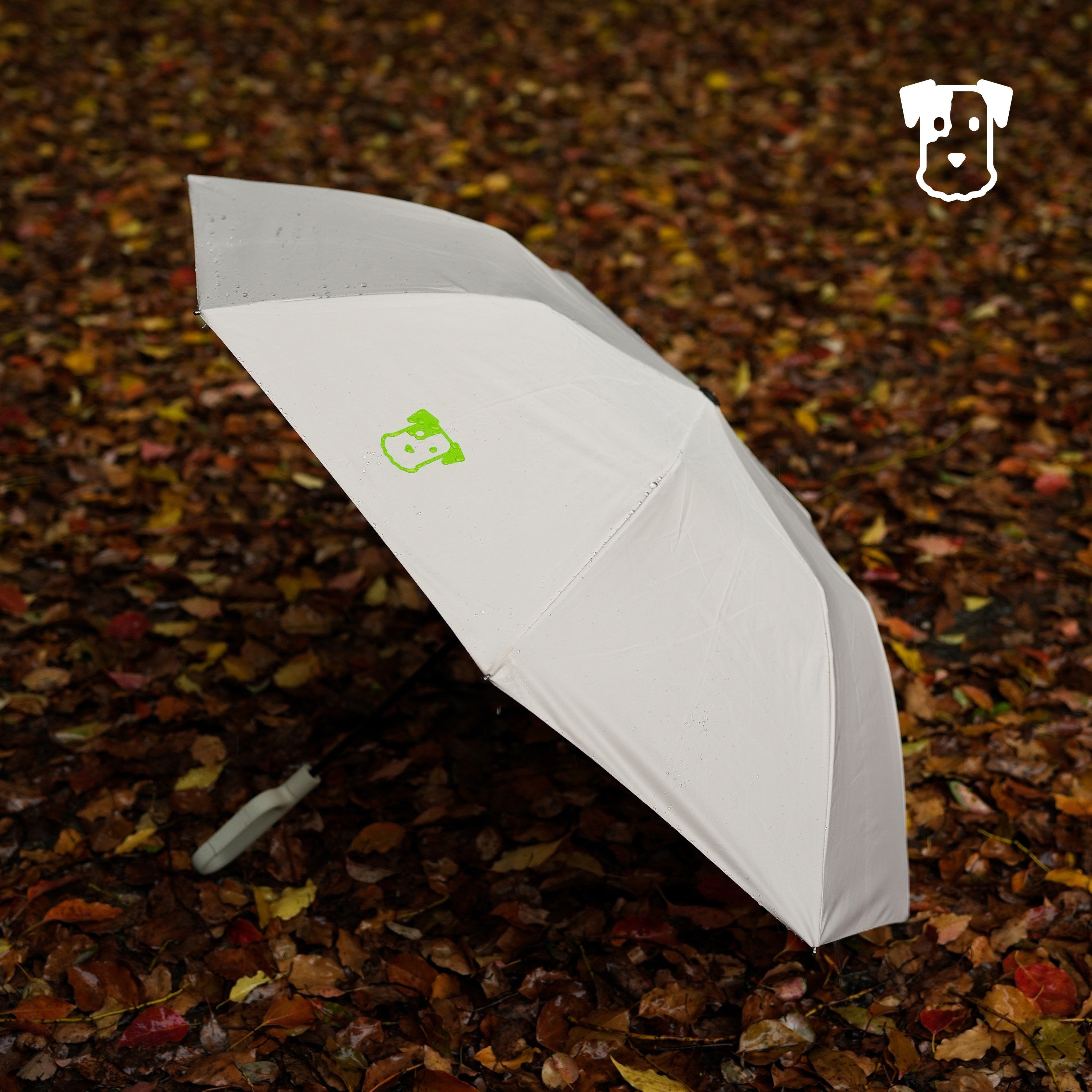 Long-Handle Umbrella System