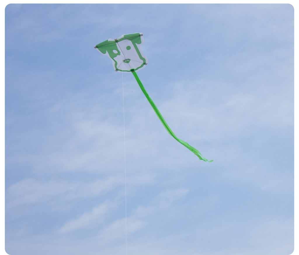 Wild Breeze Miniature Kite System