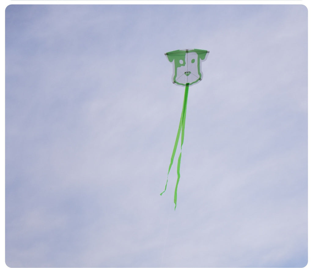 Wild Breeze Miniature Kite System
