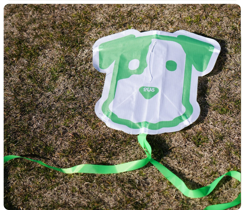 Wild Breeze Miniature Kite System