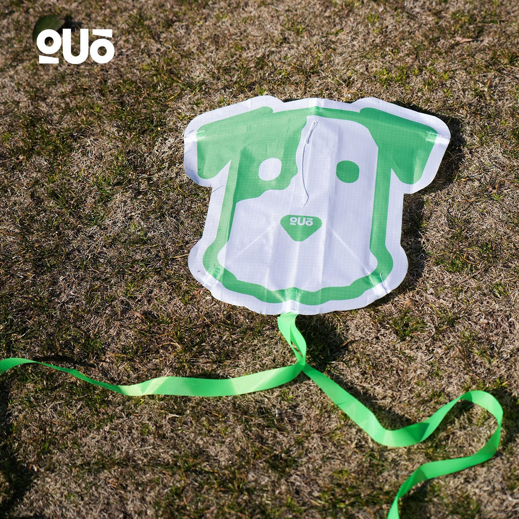 Wild Breeze Miniature Kite System
